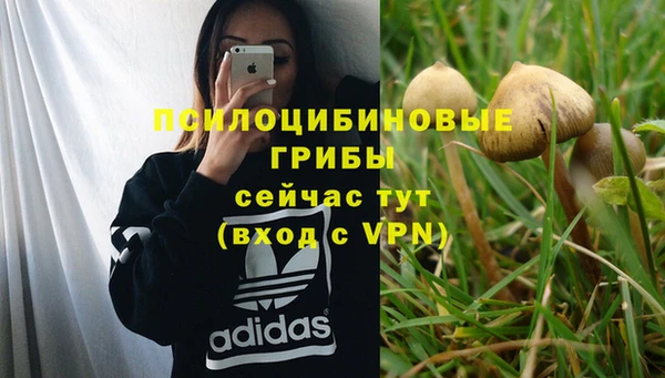 МДПВ Верхний Тагил