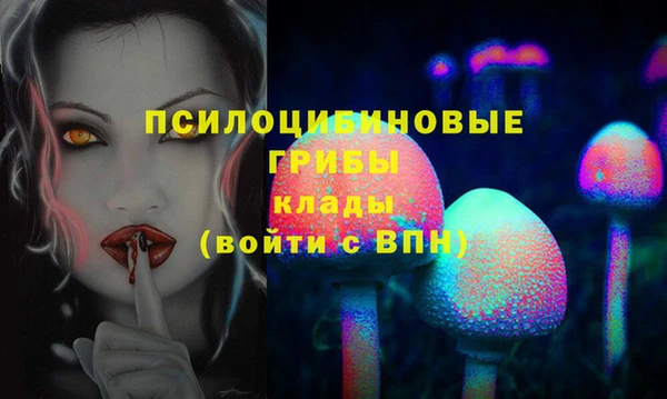 МДПВ Верхний Тагил