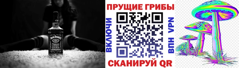 дарк нет состав  купить   Петрозаводск  Галлюциногенные грибы Magic Shrooms 